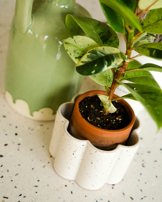 Pot autonome Paula - Blanc grainé