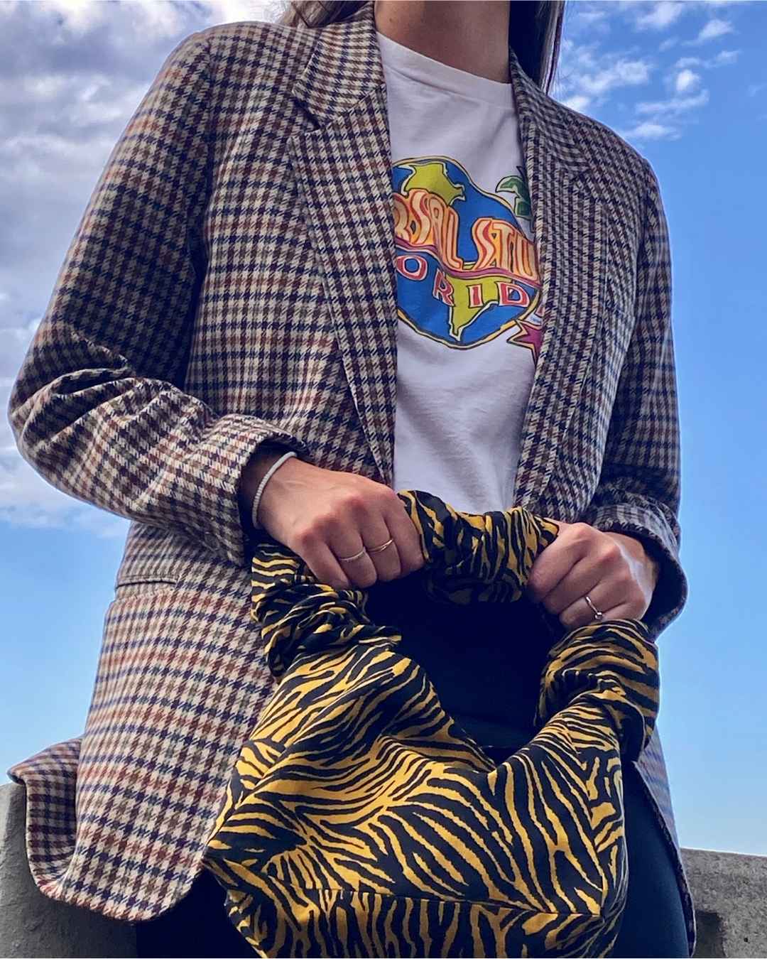 Sac à main upcyclé - Zèbre