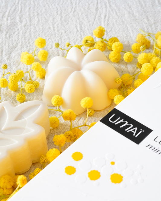 Coffret soins solides corps & cheveux