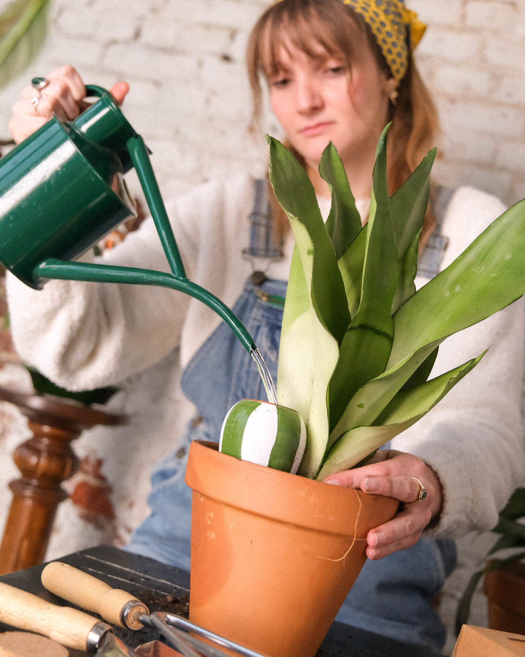 Trio mini Ollas à planter - Les Rayés