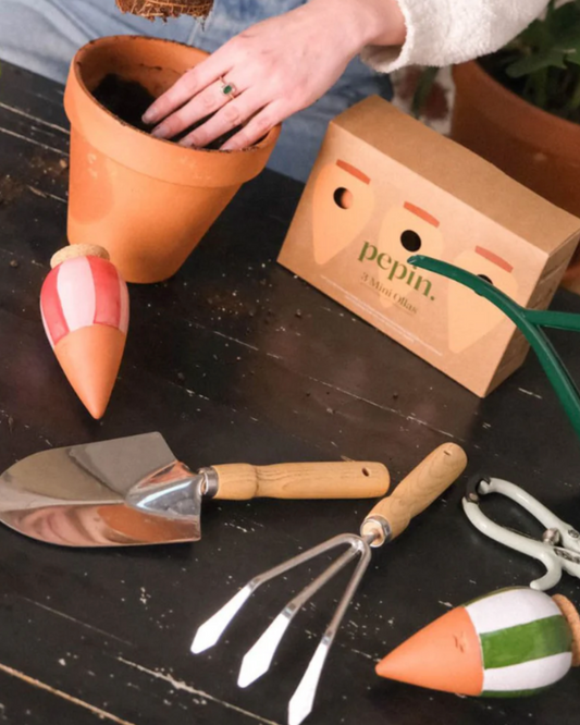 Trio mini Ollas à planter - Les Rayés