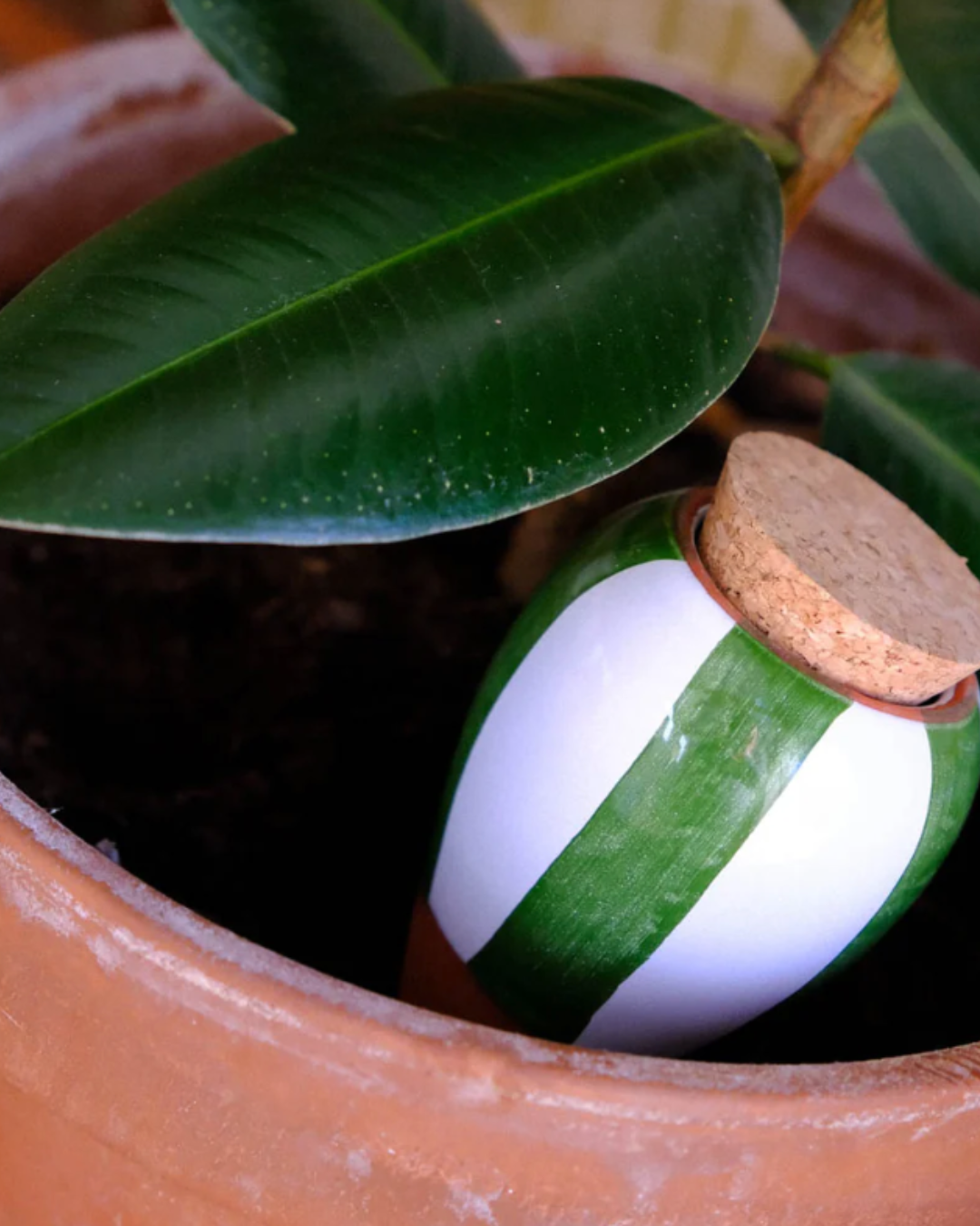 Olla à planter - Rayé vert et blanc (-10% sur le 2ème au choix)