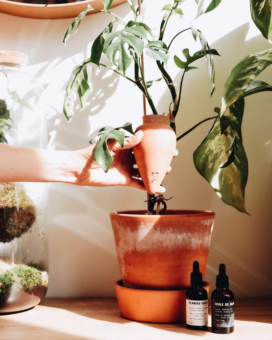 Olla à planter - Terracotta