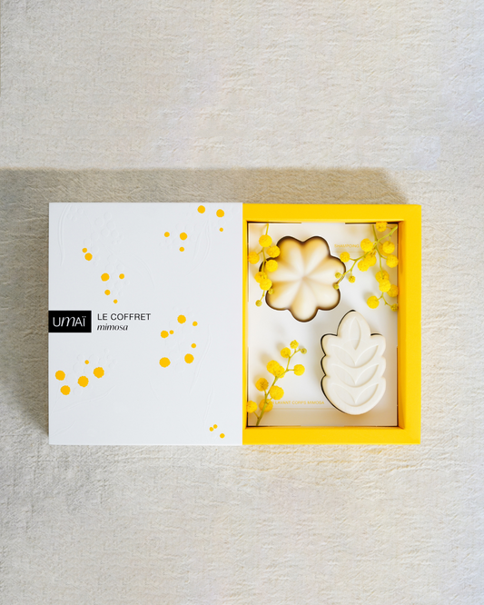Coffret soins solides corps & cheveux