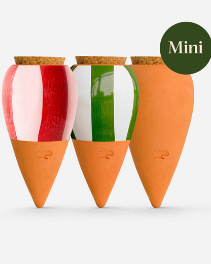 Trio mini Ollas à planter - Les Rayés