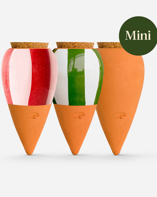 Trio mini Ollas à planter - Les Rayés