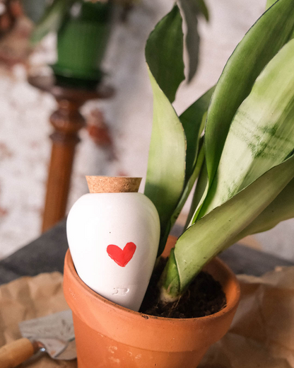 Olla à planter - Coeur rouge (-10% sur le 2ème au choix)