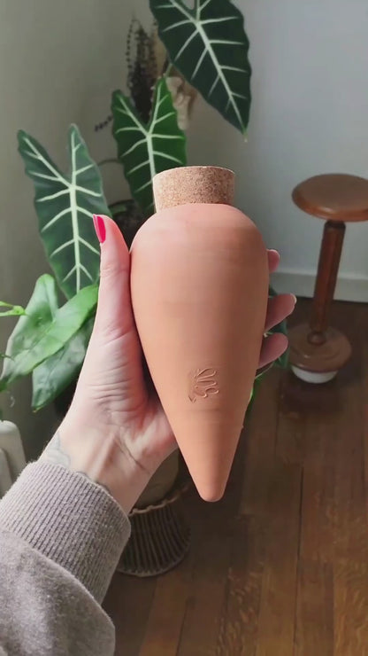Trio mini Ollas à planter - Les Rayés